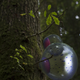 Illustration for article titled Synthetic animals will save the planet
